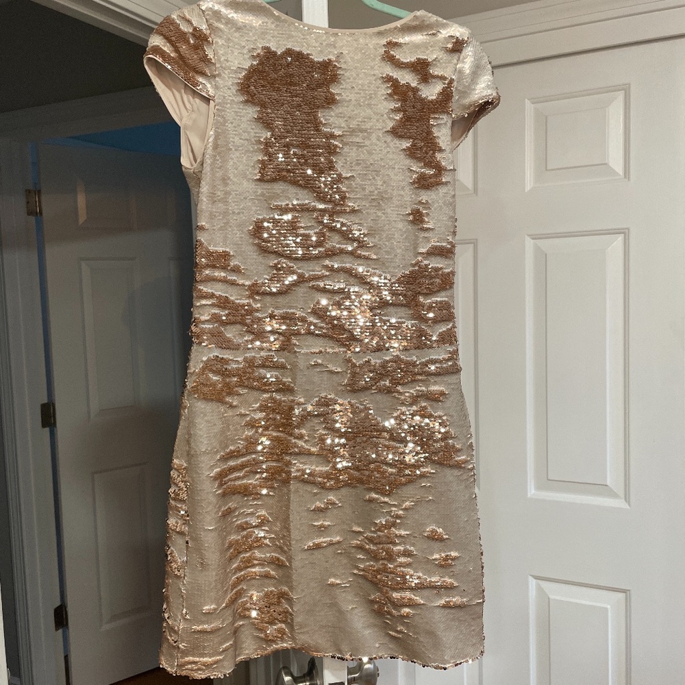 Flippy Sequins dress